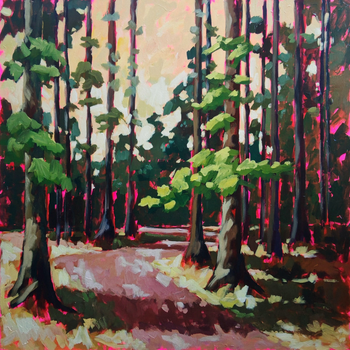 Forest Twilight