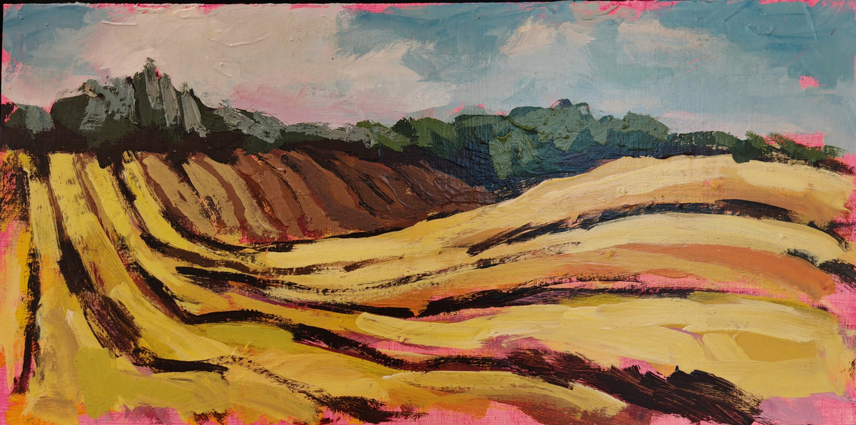 Lines In The Land
