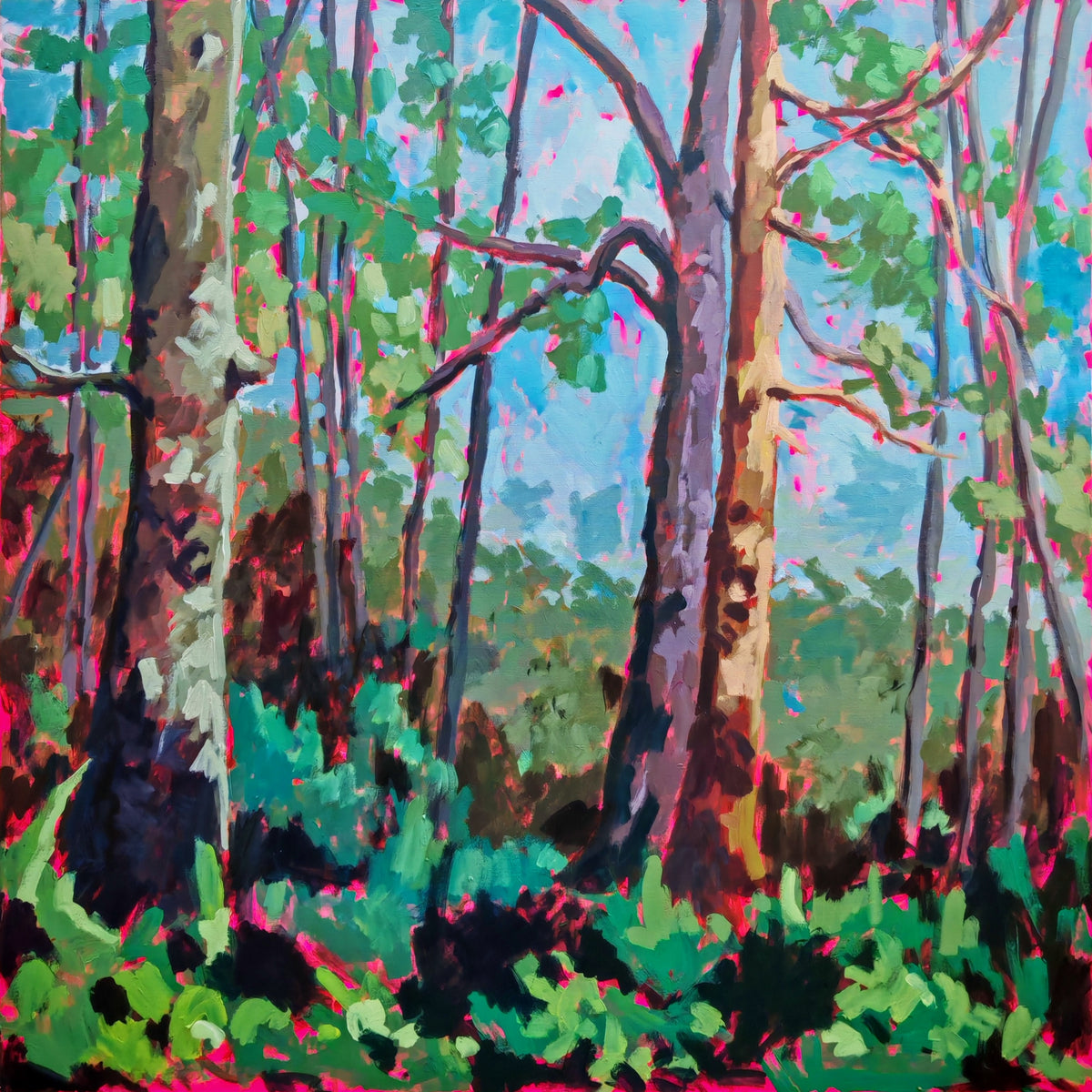 Under The Canopy