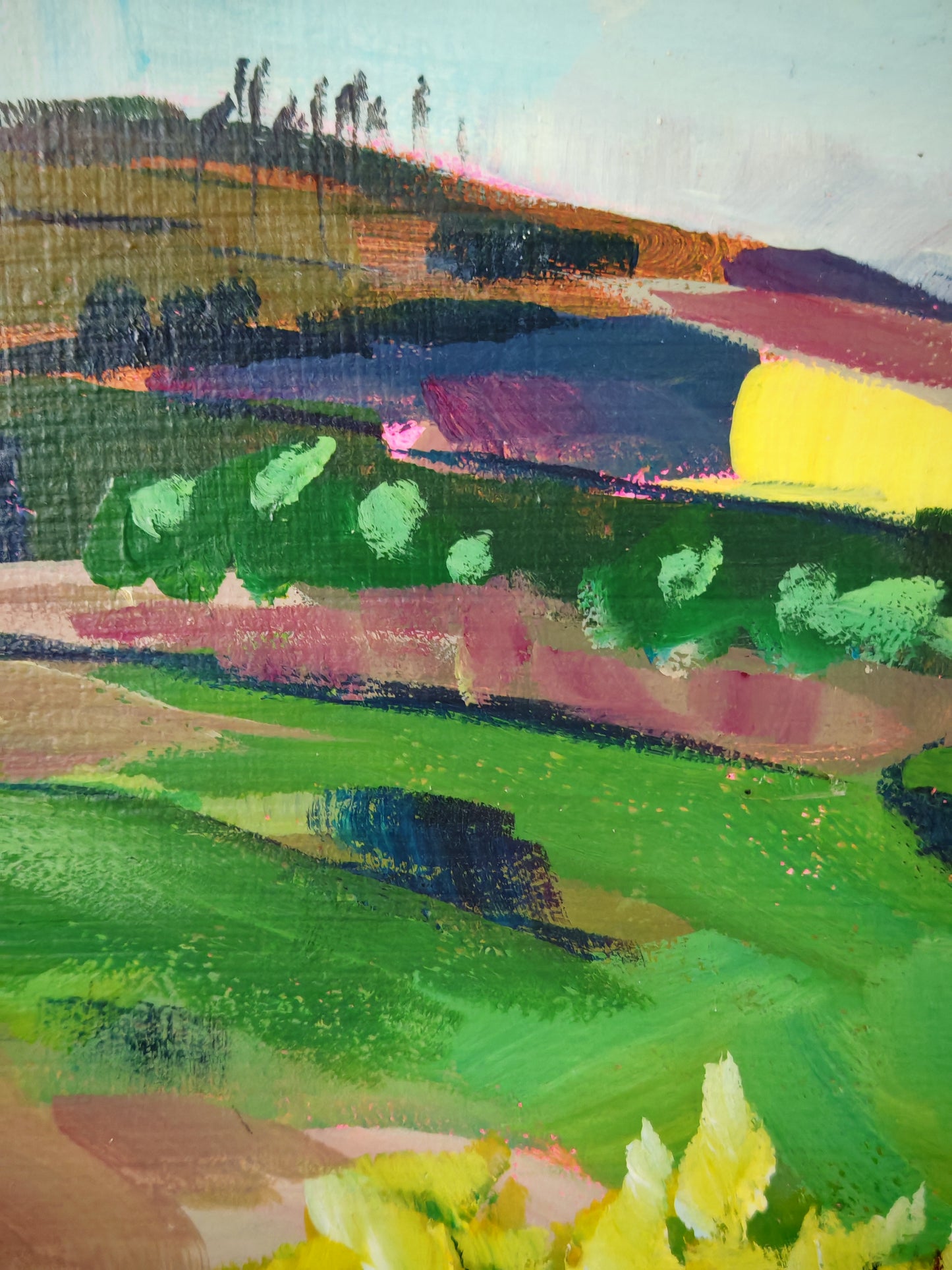 Rolling Hills of Dartmoor