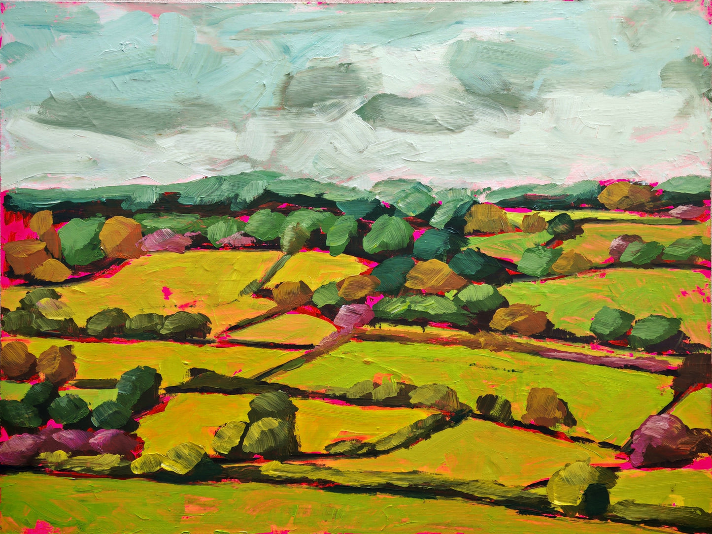 Under Shifting Skies