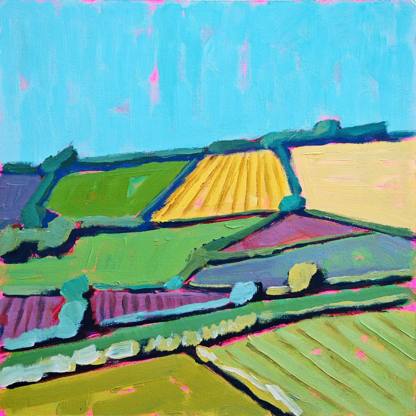 Land Blooms In Colour